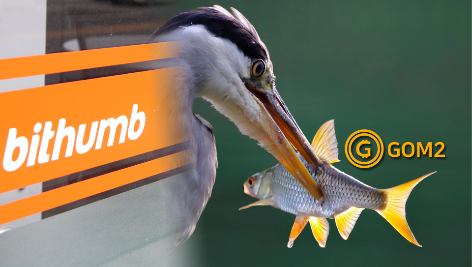 그래픽=내외경제TV