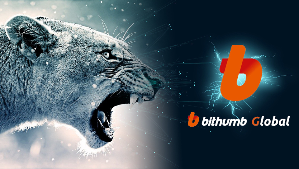 그래픽=내외경제TV