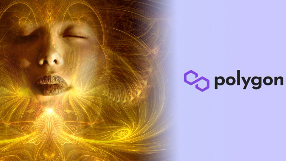 그래픽=내외경제TV