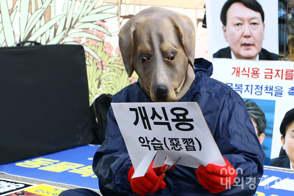 개 식용 금지 촉구하는 한국동물보호연합 관계자.
