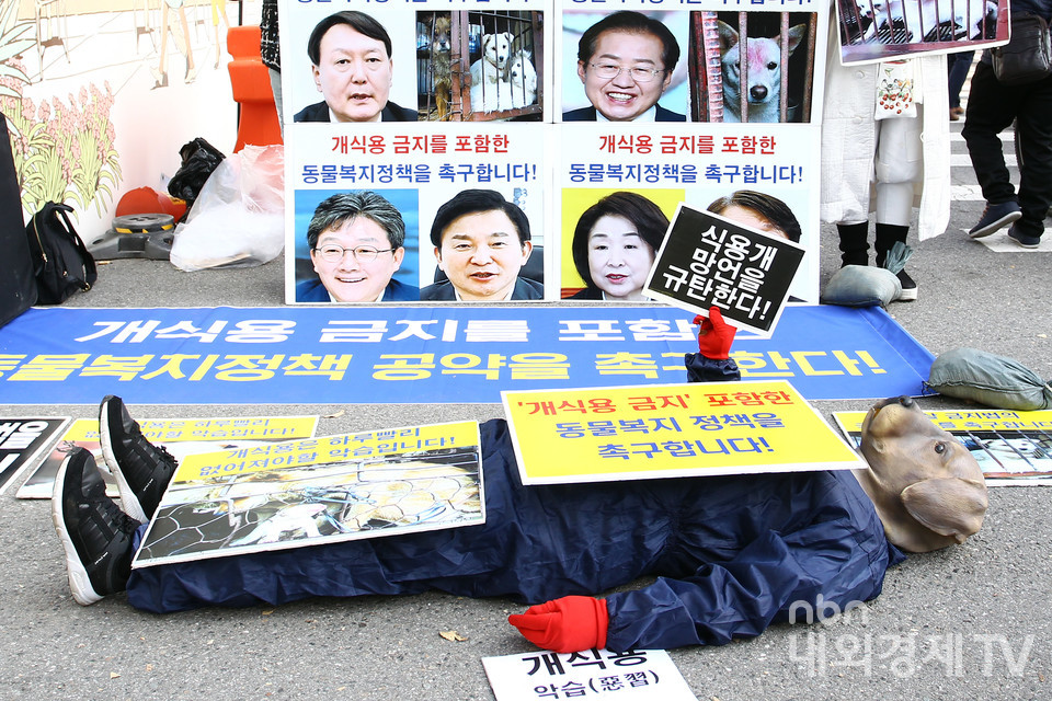 한국동물보호연합 관계자가 동물가면을 쓰고 '개 식용 금지'를 촉구하는 퍼포먼스를 펼치고 있다.