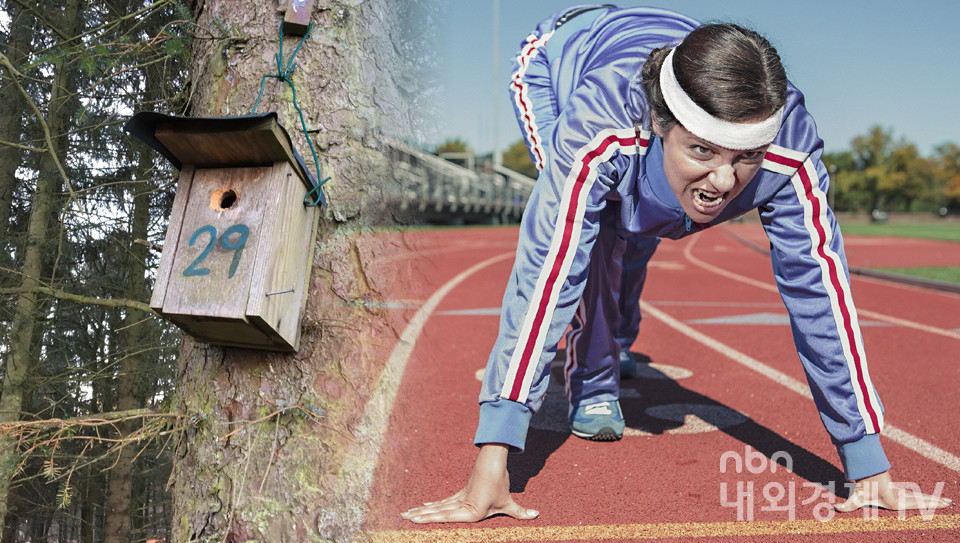 그래픽=내외경제TV