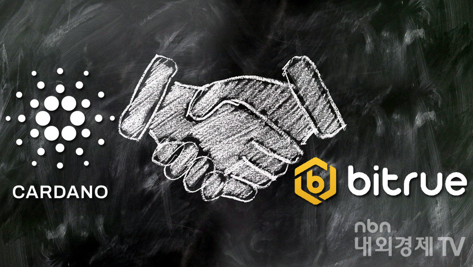 그래픽=내외경제TV