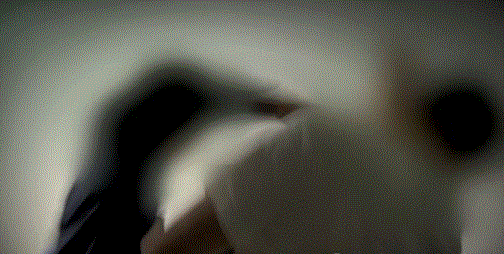 기사 내용과 무관한 사진 / 사진=연합뉴스