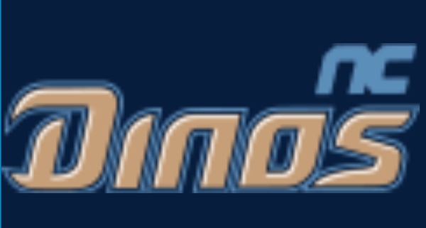 NC다이노스 소속 코치 한규식이 음주사고를 일으켜 NC가 사과문을 내는 등 파문이 일고 있다./사진=NC다이너스 로고
