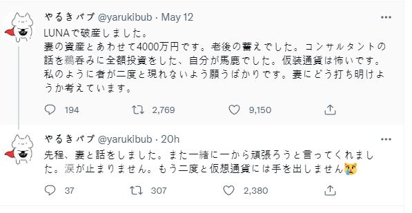 루나 코인에 투자한 일본인 트윗 / 사진=트위터