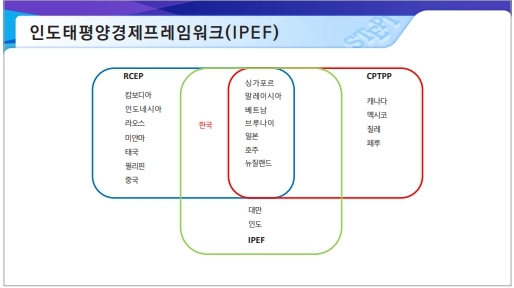IPEF 구성도 / 이미지=과학기술정책연구원