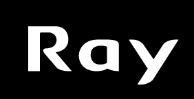 레이의 주가가 상승세다./사진=레이 로고