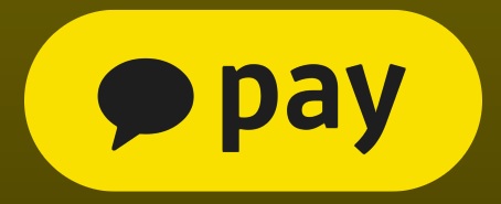 카카오페이의 주가가 상승세다./사진=카카오페이 홈페이지