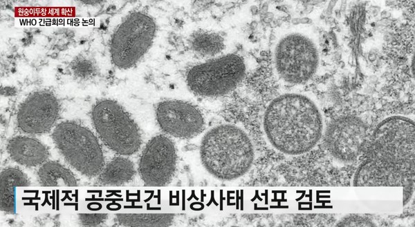 사진=YTN 유튜브 캡처