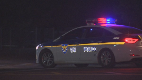 전직 프로야구 선수가 여자친구를 폭행한 혐의로 경찰에 붙잡혔다. / 사진=연합뉴스