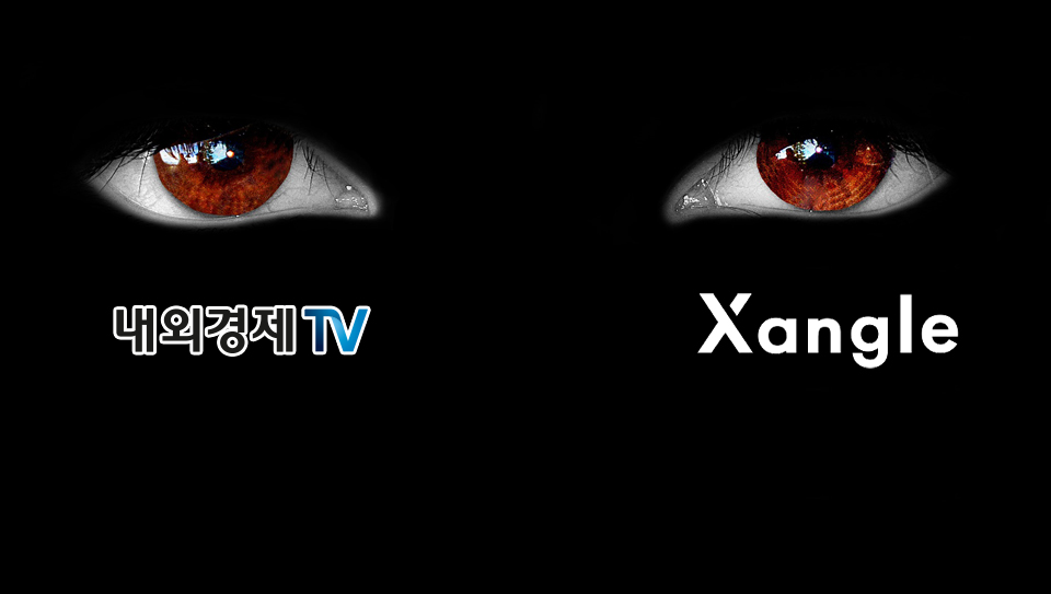 그래픽=내외경제TV