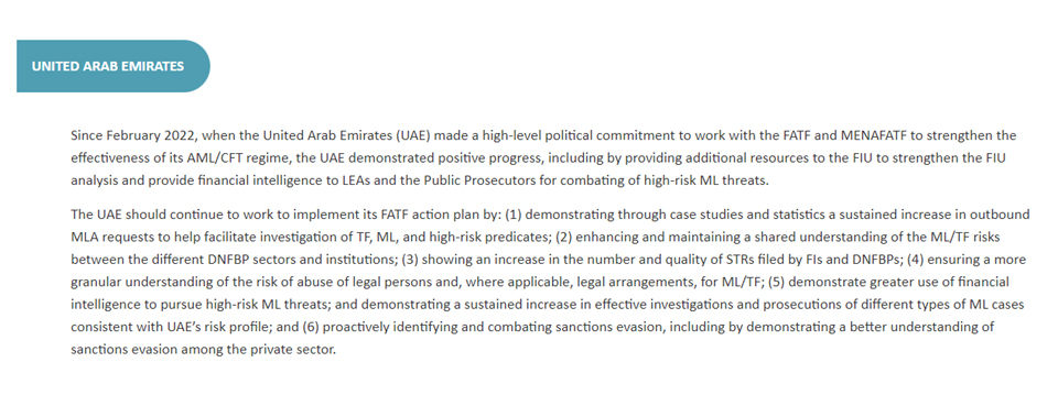 지난해 10월 FATF가 공개한 그레이 리스트로 분류된 아랍에미리트 / 자료=FATF