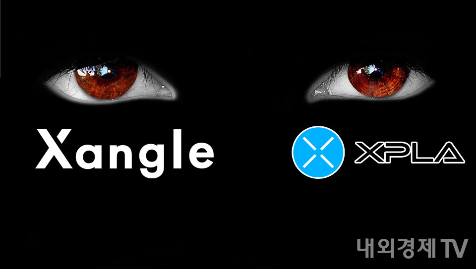 그래픽=내외경제TV