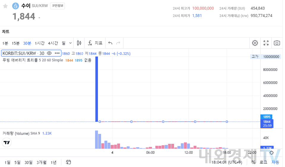 코빗에서 발생한 수이의 1억 체결 거래도 해프닝으로 남았다. / 자료=코빗
