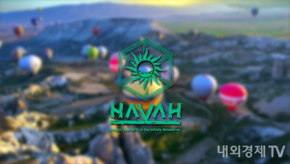 그래픽=내외경제TV