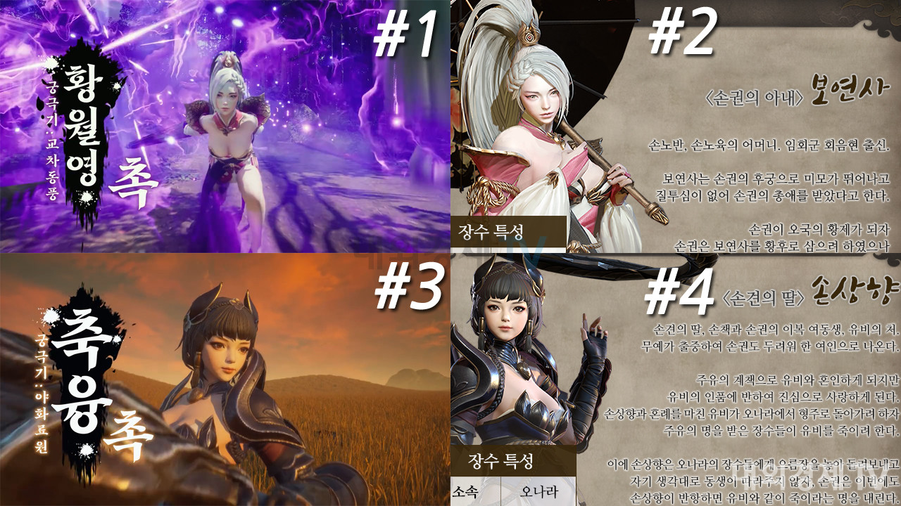 #1과 #3은 수삼국이 도용한 디자인, #2와 #4는 삼국블레이드 디자인 / 자료=액션스퀘어