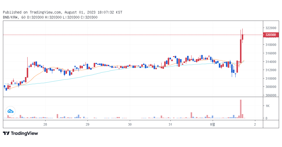 빗썸에서 거래 중인 바이낸스 코인(BNB) / 자료=빗썸, 트레이딩뷰