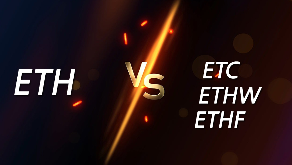 그래픽=내외경제TV DB