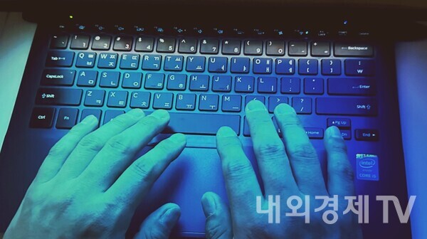 기사의 이해를 돕기 위한 사진. (그래픽=내외경제TV)