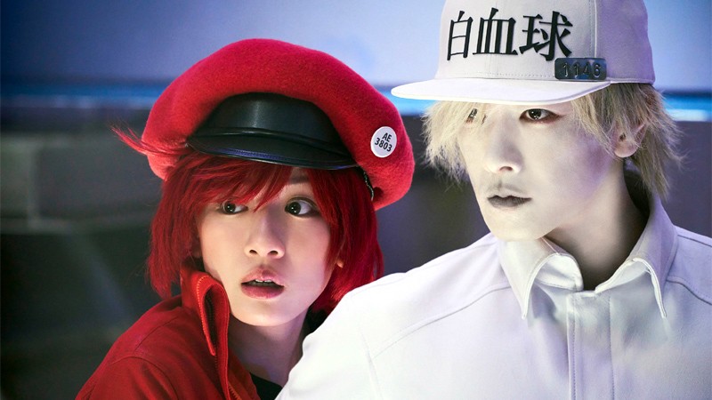 자료=일하는 세포 공식 X