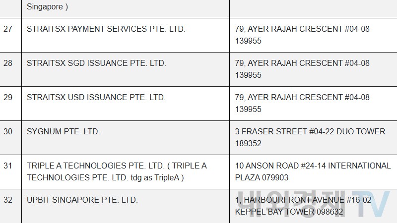 DTSP 라이센스 리스트 일부 / 자료=MAS