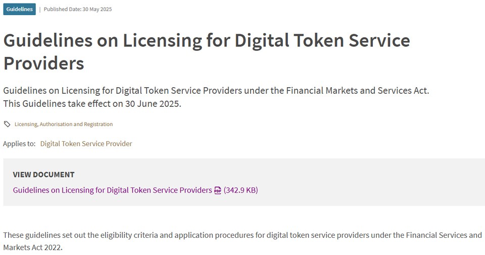 DTSP 가이드라인 / 이미지=MAS 홈페이지 갈무리