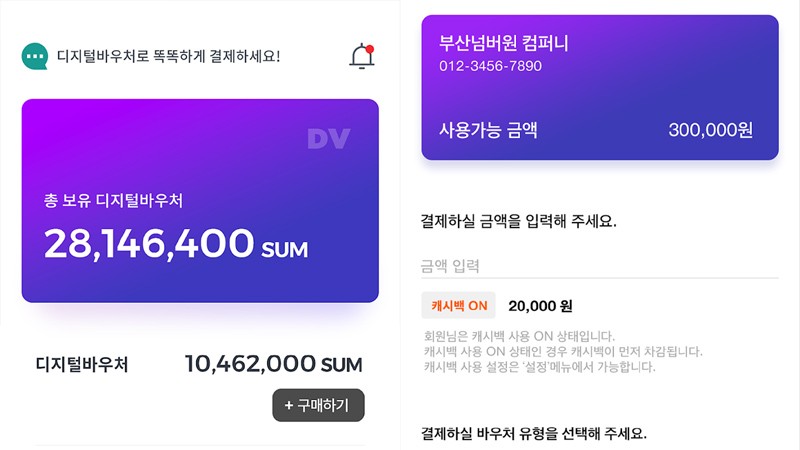 디지털 바우처 대표 이미지 / 자료=부산은행