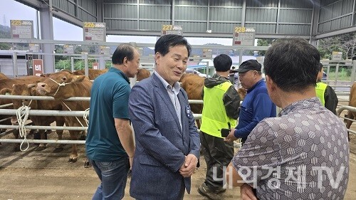 사진 : 전라남도지사 출마를 선언한 주철현 더불어민주당 국회의원이 13일 순천시 축협가축시장을 방문했다. / 내외경제TV DB