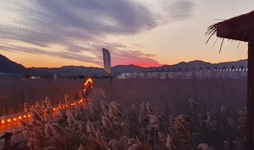 사진 : 강진군 야경