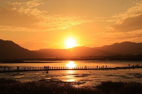 사진 : 강진군 야경