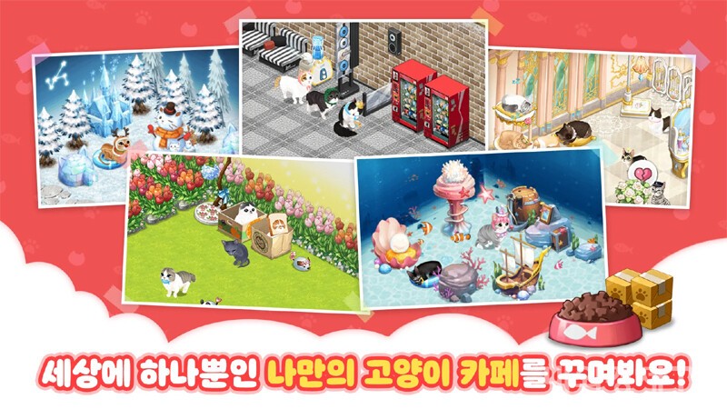고양이다방, 11년 만에 집사들의 쉼터 사라진다 - 뉴스 썸네일 이미지