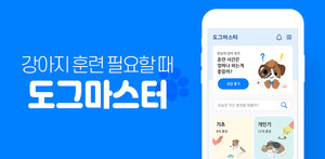 국내 반려견 훈련 앱 '도그마스터' 9월 론칭 - 뉴스 썸네일 이미지