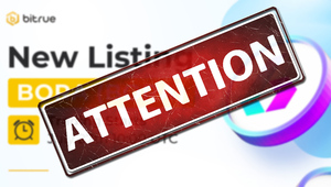 [단독] 비트루, 보라(BORA) 2년 굴리고 상장 폐지 - 뉴스 썸네일 이미지